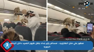 صقور على متن الطائرة.. مسافر يثير جدلا بنقل طيور الصيد داخل الرحلة الجوية